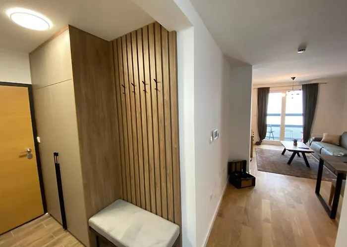 Zen - Snjezna Dolina